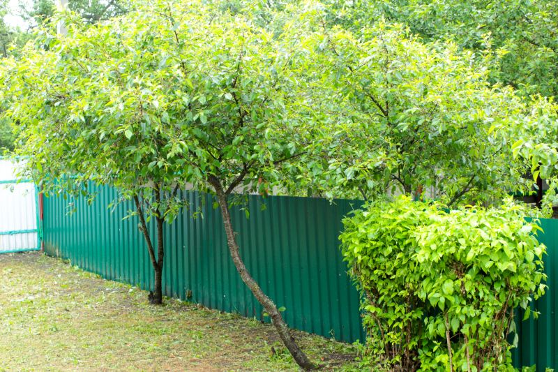 Durable Painted Steel Fence